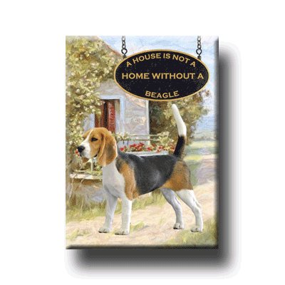 BEAGLE A House Is Not A Home FRIDGE MAGNET