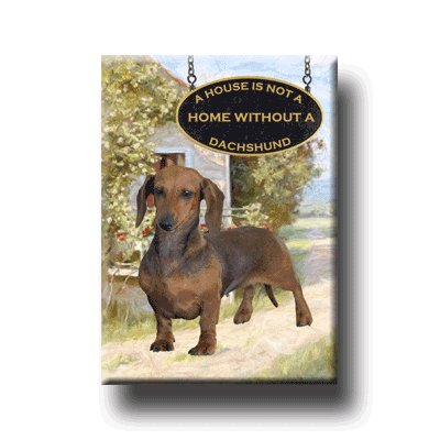 DACHSHUND House Is Not A Home FRIDGE MAGNET No 1 DOXIE