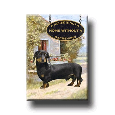 DACHSHUND House Is Not A Home FRIDGE MAGNET No 2 DOXIE