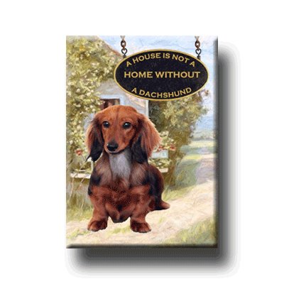 DACHSHUND House Is Not A Home FRIDGE MAGNET No 4 DOXIE