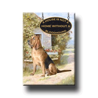 BLOODHOUND A House Is Not A Home FRIDGE MAGNET