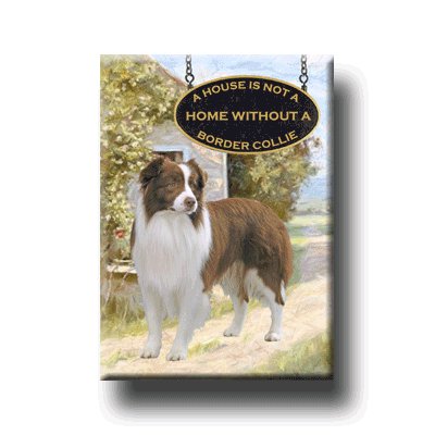 BORDER COLLIE A House Is Not A Home FRIDGE MAGNET 2