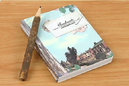 Very Quaint Retro Style Doma Soulmate Any Year Planner Diary