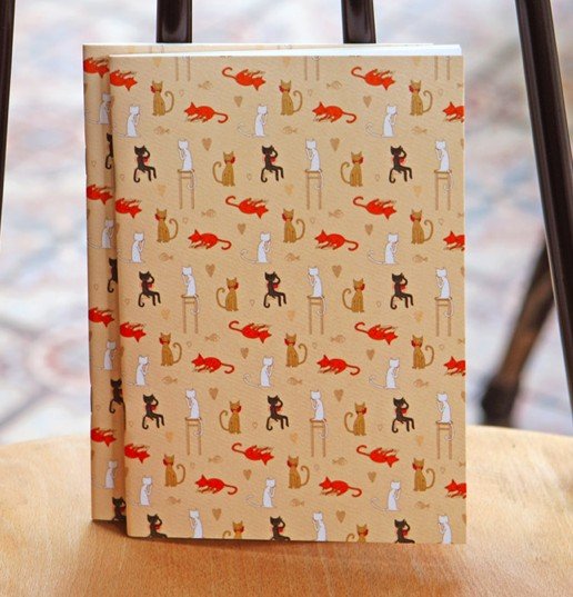 Fun Orange Black Brown White Cats Animal Notebook Journal