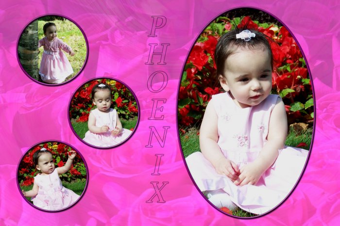 InspiredGFX 4 Picture Pink Rose Collage 4x6 inches