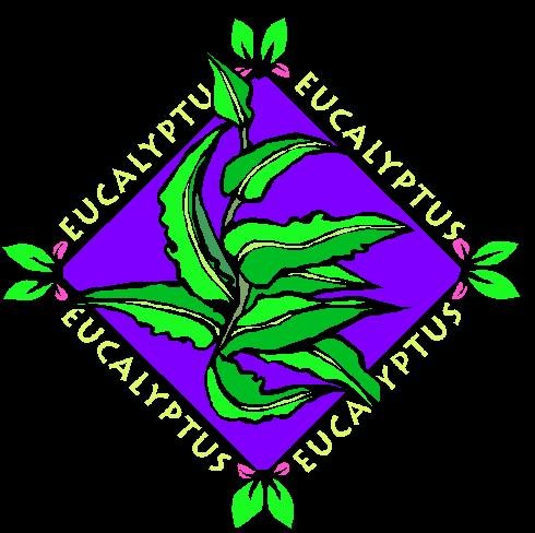 Eucalyptus Pure Grade Essential Oil Aromatherapy