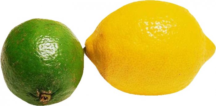 Lime 100% Pure Grade Essential Oil Aromatherapy