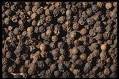 Black Pepper Essential Oil 1/2 oz