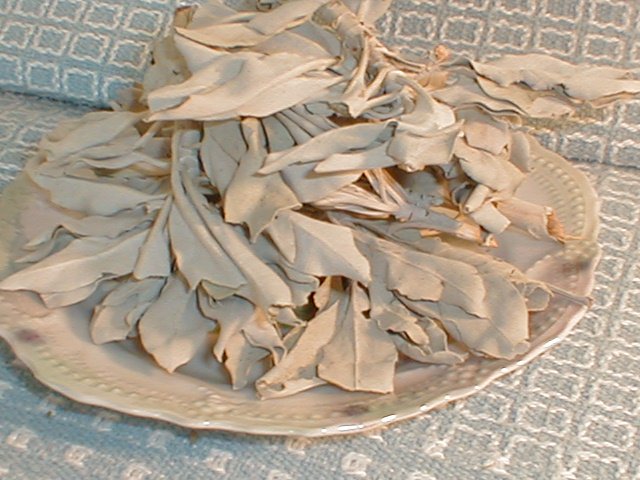 *WHITE SAGE* 1OZ Incense Smudging Purification *EARTHSONG*
