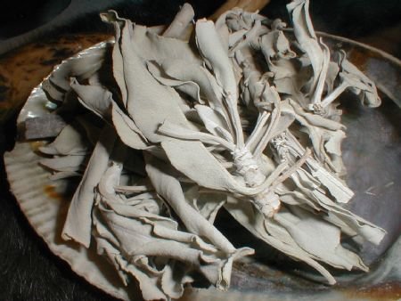 *WHITE SAGE* 2OZ Incense Smudging Purification Ceremony *EARTHSONG*