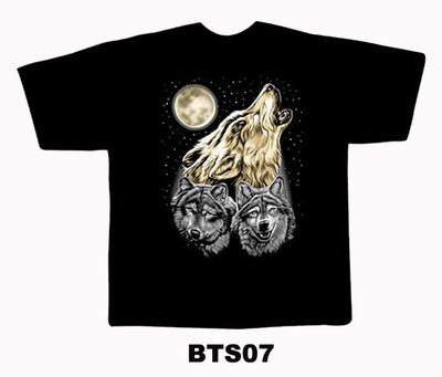 Black colour T-Shirt with Fabric Print Design