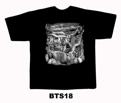 Black colour T-Shirt with Fabric printing Design