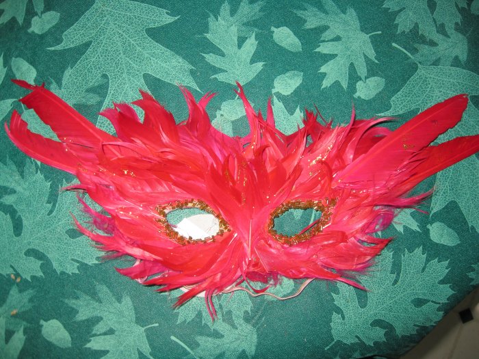 Red feathers mask