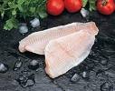 SEAFOODS - FISH, CLAMS, CATFISH, FRESH WATER FISHES, MIXED SEAFOOD - PRODUCER & SUPPLIER