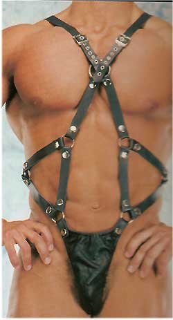 Leather Harness & G-String - Item 213
