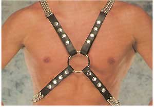Thick Leather Top Harness - Item B36