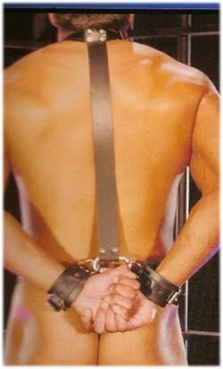 Behind the Back Restraints - Item B214
