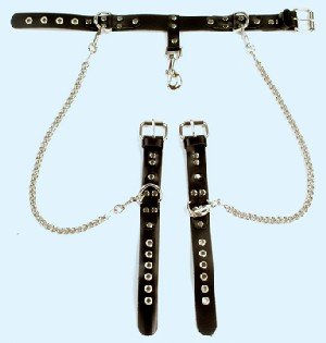 Lead Choker with Wrist Restraint - Item B350