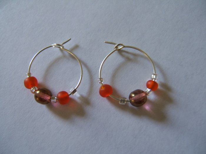 Brown and Orange Earrings