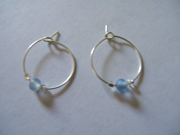 Blue Beaded Earrings