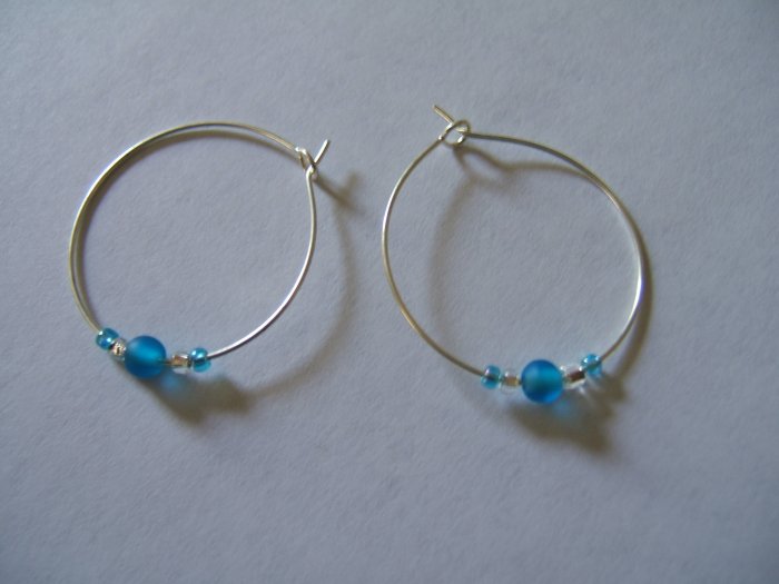 Simple Blue Earrings