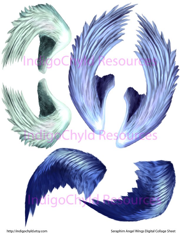 Seraphim Angel Wings Digital Collage Sheet JPG