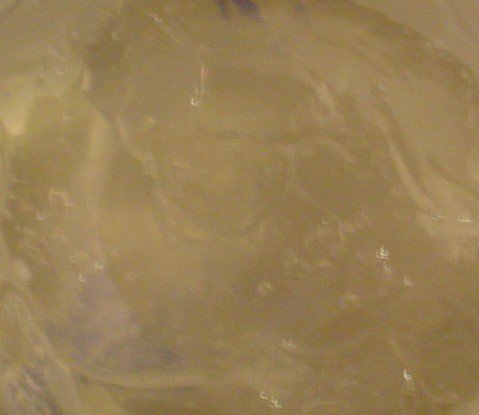 Thickened Aloe Gel