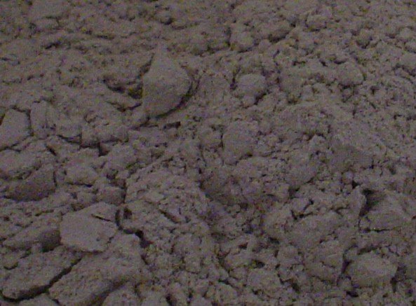 Bentonite Clay