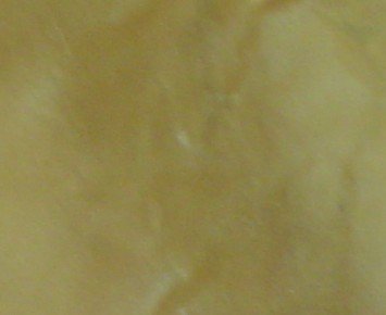 Jade Green Mica