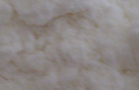 Coconut Milk Powder