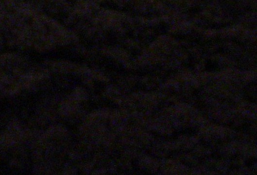 Logwood Powder