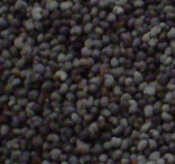 Poppy Seeds