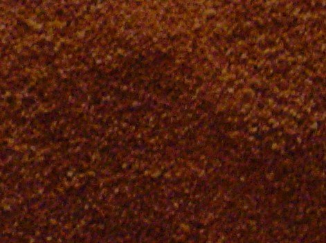Apricot Seeds
