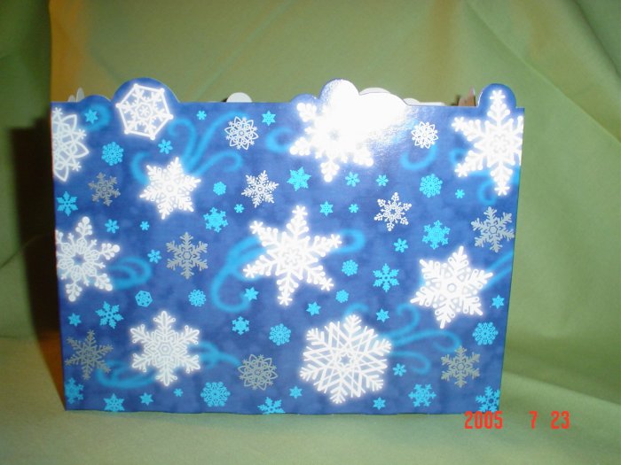 Winter Wonderland