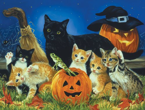 Kitty Tricks - 500 piece SunsOut puzzle - for Ages 12+