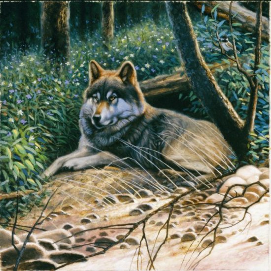 A Summer's Nap - 1,000 piece SunsOut puzzle - for Ages 12+