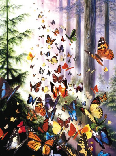 Butterfly Woods - 1,000 piece SunsOut puzzle - for Ages 12+