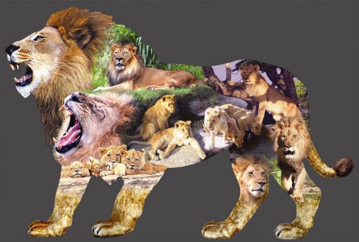 King of the Plains - 1,000 piece Shaped SunsOut puzzle - for Ages 12+