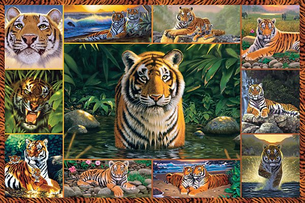 Tiger - 5,000 piece Ravensburger puzzle - for Ages 12+