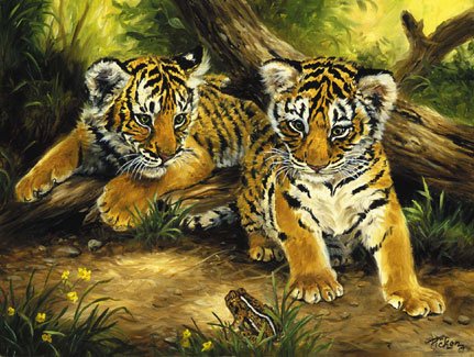 Tiger Cubs - 300 piece SunsOut puzzle - for Ages 8+