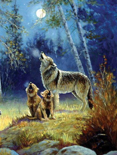 School Nights - 500 piece SunsOut puzzle - for Ages 12+