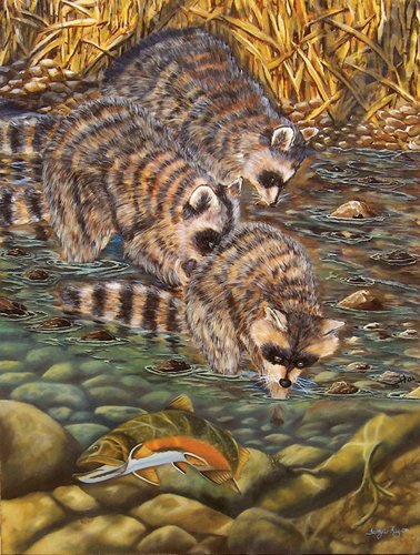 Coon Creek - 500 piece SunsOut puzzle - for Ages 12+