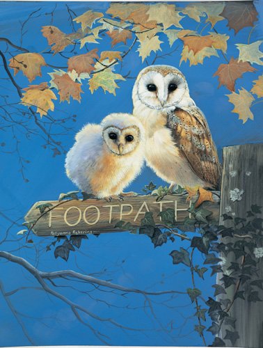 Footpath - 500 piece SunsOut puzzle - for Ages 12+