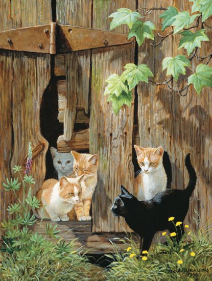 Hole in the Wall Gang - 500 piece SunsOut puzzle - for Ages 12+