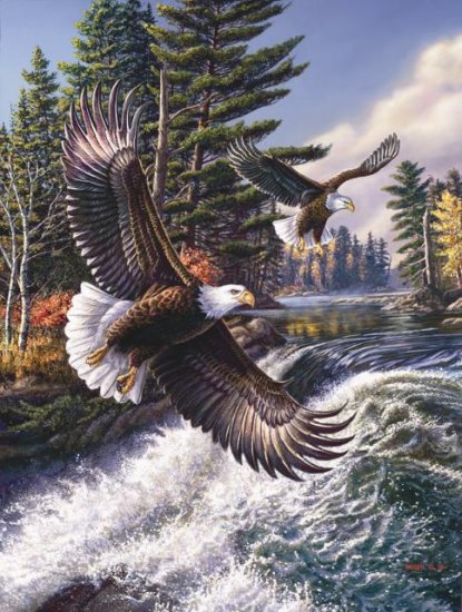 White Water - 500 piece SunsOut puzzle - for Ages 12+