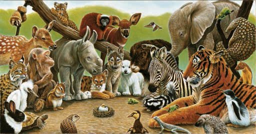 Little Miracle - 500 piece SunsOut puzzle - for Ages 12+