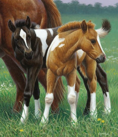 Two Foals - 550 piece SunsOut puzzle - for Ages 12+
