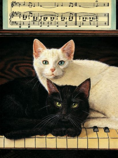 Ebony and Ivory - 1,000 piece SunsOut puzzle - for Ages 12+