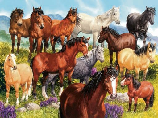 Native Horses - 1,000 piece SunsOut puzzle - for Ages 12+
