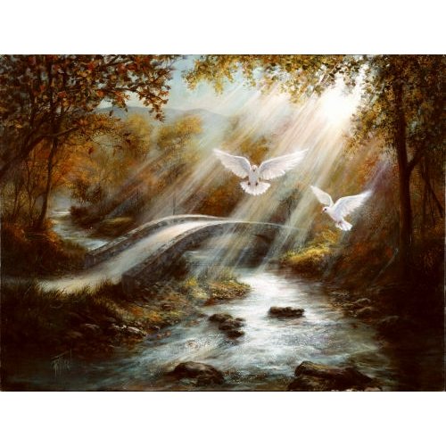 Two Doves - 500 piece SunsOut puzzle - for Ages 12+